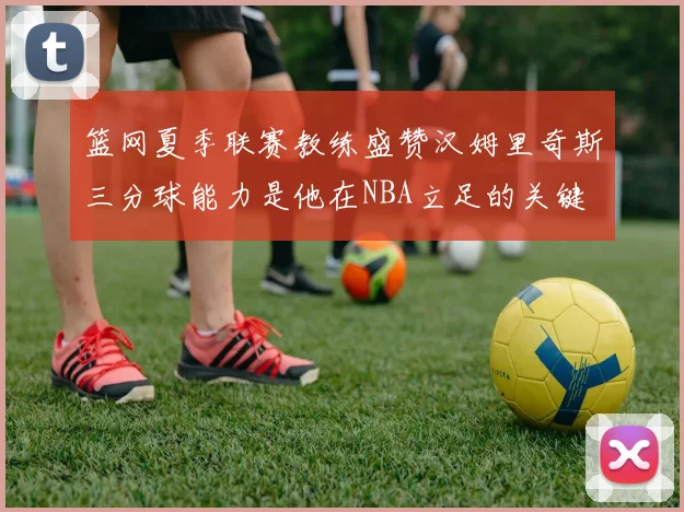篮网夏季联赛教练盛赞汉姆里奇斯三分球能力是他在NBA立足的关键