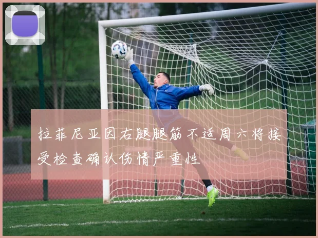 拉菲尼亚因右腿腿筋不适周六将接受检查确认伤情严重性