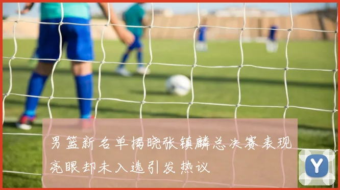 男篮新名单揭晓张镇麟总决赛表现亮眼却未入选引发热议